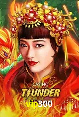 Security Systems vip300