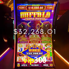 Roulette Table vip300