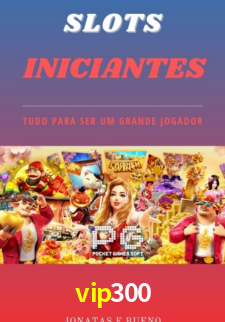 vip300 App Interface